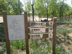 -东郊湿地公园