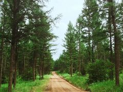 -塞罕坝国家级自然保护区