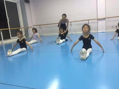 -西安小天鹅艺术团(曲江Alice店)