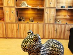 -猫十亿·布偶金渐层·曼基康矮脚猫舍(青年路店)