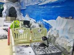 -泉城欧乐堡海洋极地世界