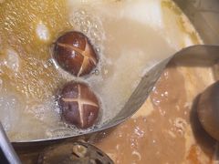 -禄婶鸡煲·打边炉