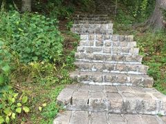 -五营国家森林公园