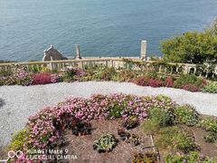 -阿尔卡特拉斯岛