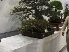 -东南花都花博园