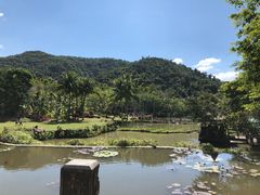 -呀诺达热带雨林