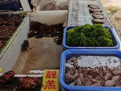 -南沙十九涌渔人码头-南门