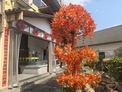 -后湖小院·乡野田园菜