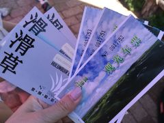 -186彩带河