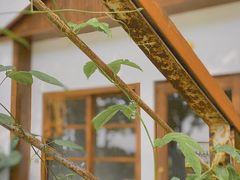 -白熊咖啡(闽江大道店)