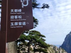 -黄山风景区