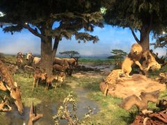 -国家自然博物馆