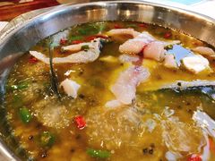 -鲜椒鱼·雅安地标性美食