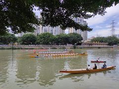 -光明港公园