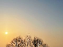 -苏州太湖国家湿地公园