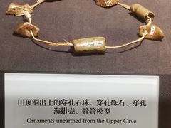 -北京周口店北京人遗址博物馆