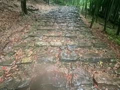 -仙霞关景区