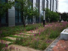 -北京国家会计学院