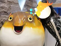 -鲐赏河豚(长寿店)