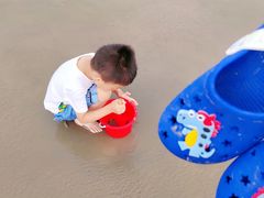 -奉贤海滩