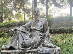 -桂湖森林公园
