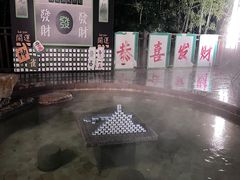 -天目湖涵田半山温泉