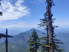 -瓦屋山景区