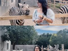 -水上乐园·欢乐世界