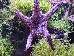 -郑州海洋馆