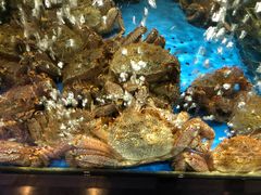 -蟹之国·精品蟹料理(极地店)