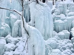 -洛阳白云山景区