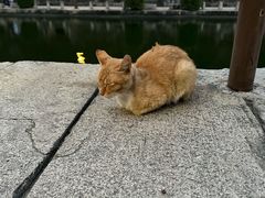 -石炮台公园