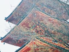 -心斋桥