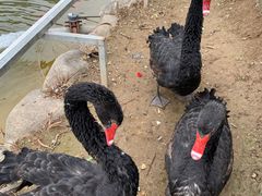 -春晖园度假酒店温泉