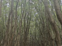 -同里国家湿地公园