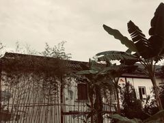 -三圣花乡旅游区