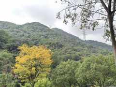 -黄公望隐居地