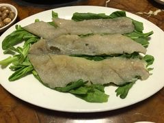 -金砂阿洲鱼册店