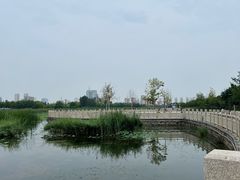 -保定东湖公园(莲池区)