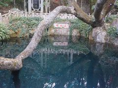 -蝴蝶泉公园