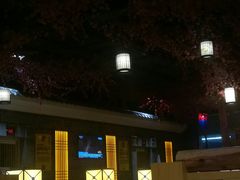 -御池园(顾村公园店)