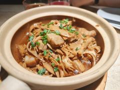 -佬肥猫(七宝宝龙店)