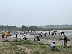 -绿堤公园
