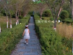 -小绿谷公园
