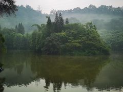 -滴水岩森林公园