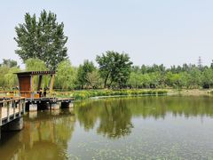 -东郊湿地公园
