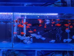 -三旗百汇商品城