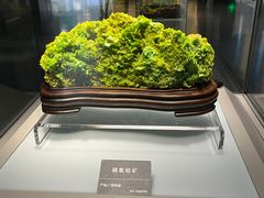 -安徽省地质博物馆