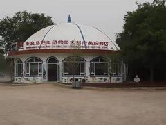 -秦皇岛野生动物园