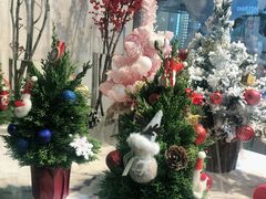 -花未央花店·WEYOUNG